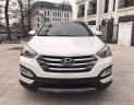 Hyundai Santa Fe 2015 - Bán xe Hyundai Santa Fe 2015, màu trắng