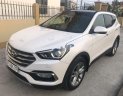 Hyundai Santa Fe 2017 - Bán xe Hyundai Santa Fe sản xuất năm 2017, 995tr