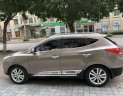 Hyundai Tucson 2010 - Bán ô tô Hyundai Tucson đời 2010, màu xám, nhập khẩu