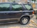 Ford Escape 2002 - Cần bán Ford Escape 2002, màu xám, nhập khẩu nguyên chiếc