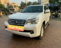 Lexus GX   2010 - Bán Lexus GX460 sản xuất năm 2010 giá tốt