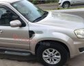 Ford Escape 2009 - Cần bán lại xe Ford Escape đời 2009, màu bạc