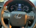 Lexus GX   2010 - Bán Lexus GX460 sản xuất năm 2010 giá tốt