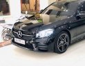 Mercedes-Benz C class   2019 - Cần bán Mercedes C300 AMG đời 2019, màu đen