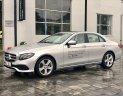 Mercedes-Benz E class   2017 - Bán Mercedes E250 sản xuất 2017, màu bạc, xe nhập