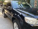 Ford Escape 2009 - Xe Ford Escape đời 2009, màu đen, nhập khẩu giá cạnh tranh