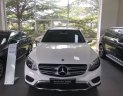 Mercedes-Benz GLC-Class 2019 - Bán Mercedes GLC200 đời 2019, màu trắng