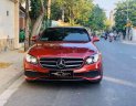 Mercedes-Benz E class   E200 Sport   2019 - Bán ô tô Mercedes E200 Sport đời 2019, màu đỏ