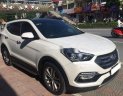 Hyundai Santa Fe 2017 - Bán Hyundai Santa Fe 4x4 sản xuất 2017, màu trắng xe gia đình giá cạnh tranh