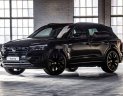 Volkswagen Touareg   Premium   2020 - Bán ô tô Volkswagen Touareg Premium đời 2020, màu đen, nhập khẩu