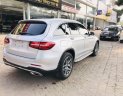 Mercedes-Benz GLC-Class  300 2017 - Bán ưu đãi với chiếc Mercedes Benz GLC 300, sản xuất 2017, màu bạc, giao nhanh