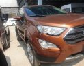 Ford EcoSport   Titanium   2019 - Cần bán lại xe Ford EcoSport Titanium sản xuất 2019, 580tr