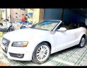 Audi A5   2008 - Bán xe Audi A5 sản xuất 2008, màu trắng, nhập khẩu  