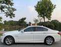 BMW 5 Series   2013 - Bán BMW 520i đời 2013, nhập khẩu nguyên chiếc giá cạnh tranh