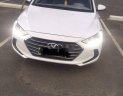 Hyundai Elantra 2017 - Bán xe Hyundai Elantra sản xuất năm 2017, nhập khẩu nguyên chiếc, 395tr