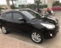 Hyundai Tucson   2010 - Bán ô tô Hyundai Tucson năm 2010, nhập khẩu