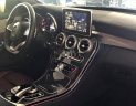 Mercedes-Benz C class   C300  2017 - Bán ô tô Mercedes C300 sản xuất năm 2017