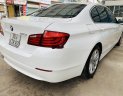 BMW 5 Series   2010 - Cần bán BMW 523i 2010, màu trắng, xe nhập 