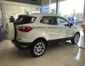 Ford EcoSport Titanium 1.0L AT 2020 - Bán xe Ford EcoSport Titanium 1.0L AT đời 2020, màu trắng, giá tốt