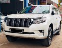 Toyota Prado 2010 - Bán Toyota Prado năm sản xuất 2010, màu trắng, nhập khẩu