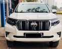 Toyota Prado 2010 - Bán Toyota Prado năm sản xuất 2010, màu trắng, nhập khẩu