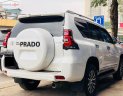 Toyota Prado 2010 - Bán Toyota Prado năm sản xuất 2010, màu trắng, nhập khẩu