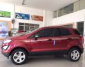 Ford EcoSport 2019 - Cần bán xe Ford EcoSport năm sản xuất 2019, màu đỏ