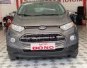 Ford EcoSport   2015 - Bán xe Ford EcoSport Titanium 1.5L AT 2015, màu xám, số tự động 