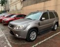 Ford Escape   2014 - Bán xe Ford Escape đời 2014, màu xám, chính chủ  