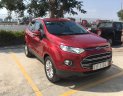 Ford EcoSport   2015 - Bán xe Ford EcoSport sản xuất năm 2015