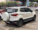 Ford EcoSport  titanium 2014 - Bán Ford EcoSport titanium năm sản xuất 2014