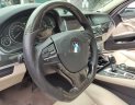 BMW 5 Series 2011 - Xe BMW 5 Series 523i sản xuất 2011, nhập khẩu nguyên chiếc