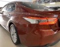 Toyota Camry 2019 - Cần bán xe Toyota Camry 2.5 năm 2019, màu đỏ, nhập khẩu chính chủ