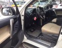 Toyota Land Cruiser 2010 - Xe Toyota Land Cruiser sản xuất 2010, xe nhập, giá tốt