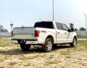 Ford F 150 Platinum 2015 - Xe Ford F 150 Platinum đời 2015, màu trắng, nhập khẩu nguyên chiếc