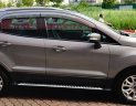 Ford EcoSport Titanium 2014 - Bán ô tô Ford EcoSport Titanium sản xuất 2014, màu bạc, 415 triệu