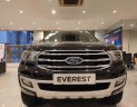 Ford Everest 2020 - Bán xe Ford Everest 2.0L 4*2 AT Titanium 2020