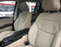 Mercedes-Benz GLS GLS350D 2016 - Mercedes GLS350d sản xuất 2016, đăng ký lần đầu T8 / 2017