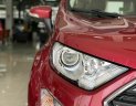 Ford EcoSport   2020 - Ford Ecosport 2020 khuyến mãi hấp dẫn