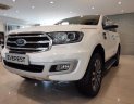 Ford Everest 2020 - Bán Ford Everest năm 2020, nhập khẩu