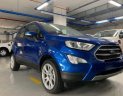 Ford EcoSport 2020 - Tận tay cầm lái “Ford Ecosport” mệnh danh "chuyên gia đường phố" 2020