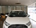 Ford EcoSport 2021 - Bán Ford EcoSport sản xuất 2021, giá chỉ 666 triệu