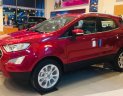 Ford EcoSport 2021 - Siêu khuyến mãi xe Ford EcoSport 2020  giá thấp nhất