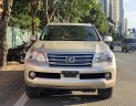 Lexus GX460 2010 - Bán Lexus GX460 đời 2010, nhập khẩu nguyên chiếc