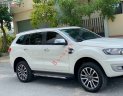 Ford Everest   Titanium 2.0L 4x4 AT   2019 - Bán xe Ford Everest Titanium 2.0L 4x4 AT năm 2019, màu trắng