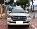 Toyota Land Cruiser   VX 4.6 V8  2016 - Bán Toyota Land Cruiser VX 4.6 V8 đời 2016, màu trắng, nhập khẩu