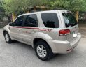 Ford Escape 2010 - Xe Ford Escape 2.3 XLS sx 2010, màu phấn hồng