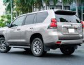 Toyota Prado 2020 - Cần bán gấp Toyota Prado đời 2020, màu bạc, nhập khẩu nguyên chiếc