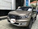 Ford Everest   Titanium  2019 - Cần bán gấp Ford Everest Titanium đời 2019, màu xám, nhập khẩu