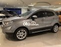 Ford EcoSport 2019 - Xe Ford EcoSport năm sản xuất 2019, màu xám